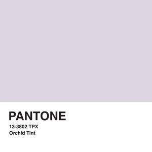 PANTONE XXXIX