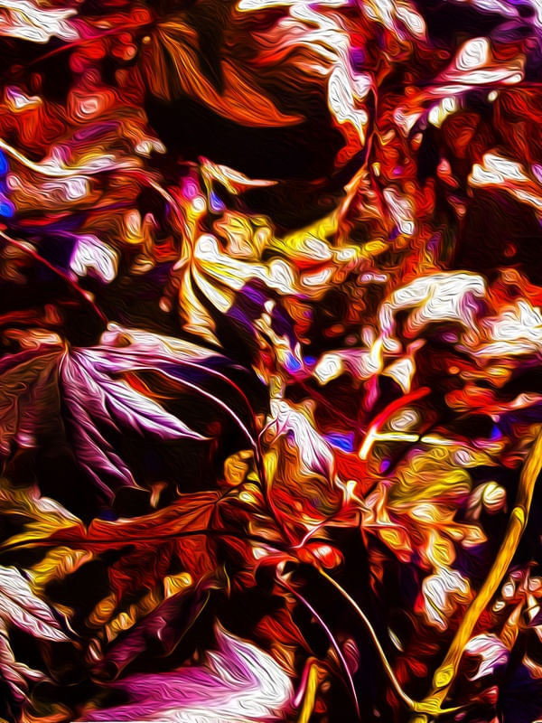 FLOWERS THREE