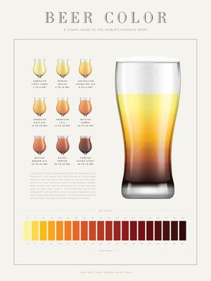 BEER COLOR - INFOGRÁFICO