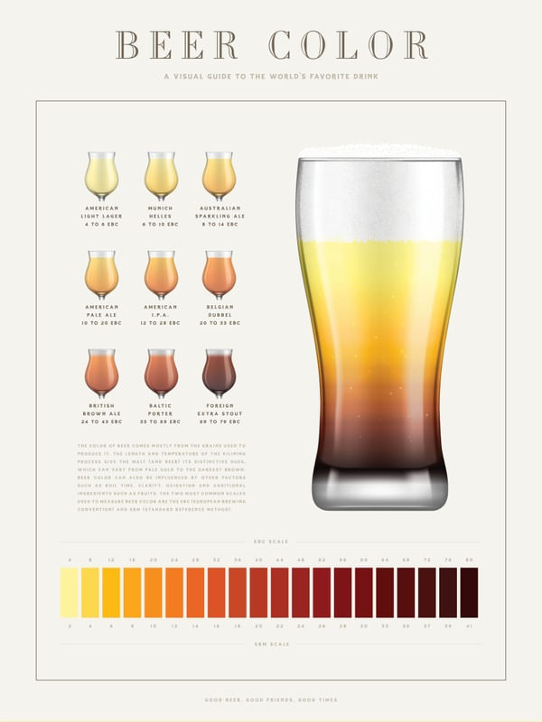 BEER COLOR - INFOGRÁFICO
