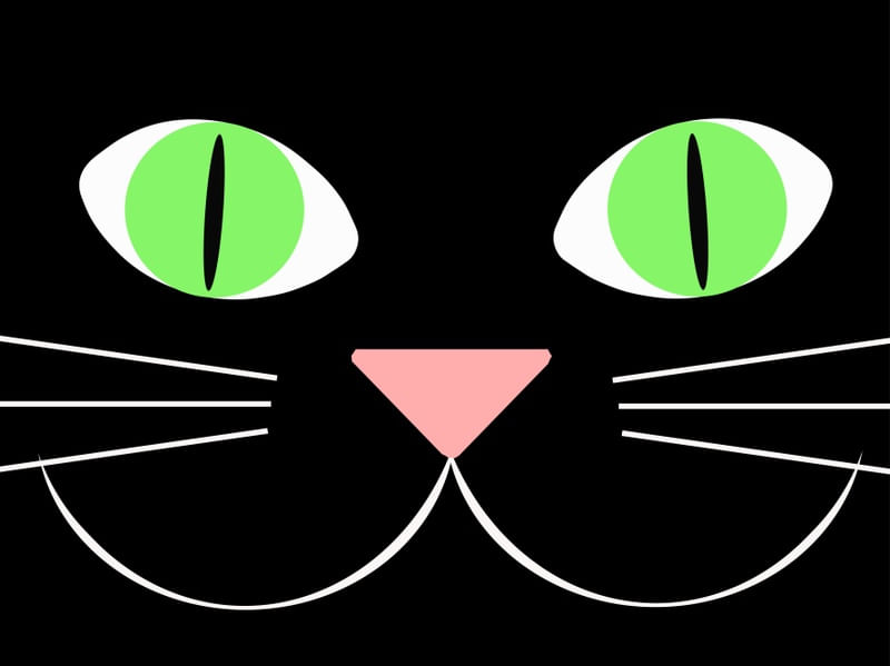 BLACK CAT WITH GREEN EYES
