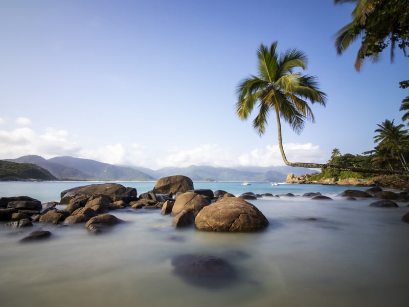 CARTÃO POSTAL DE ILHA GRANDE - RJ - COQUEIRO DA PRAIA DO AVENTUREIRO