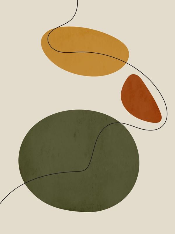 FORMAS ORGANICAS COM LINHAS MINIMALISTAS 2