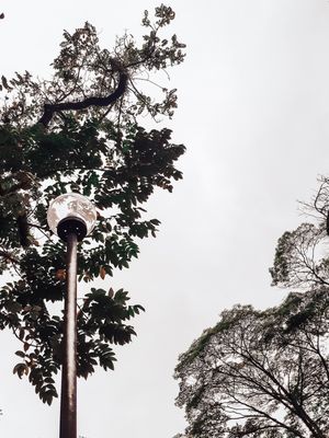 PRAÇA 3