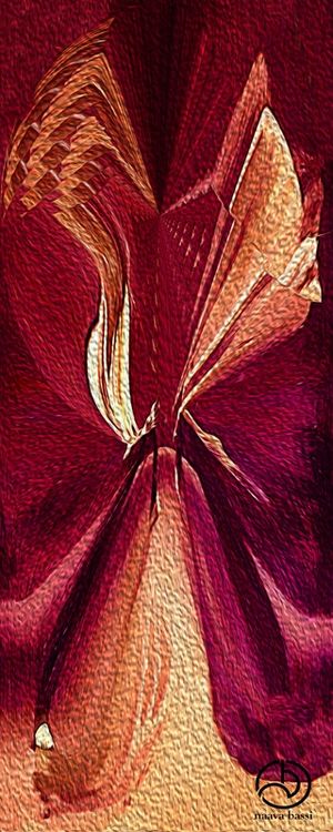 TULIPE