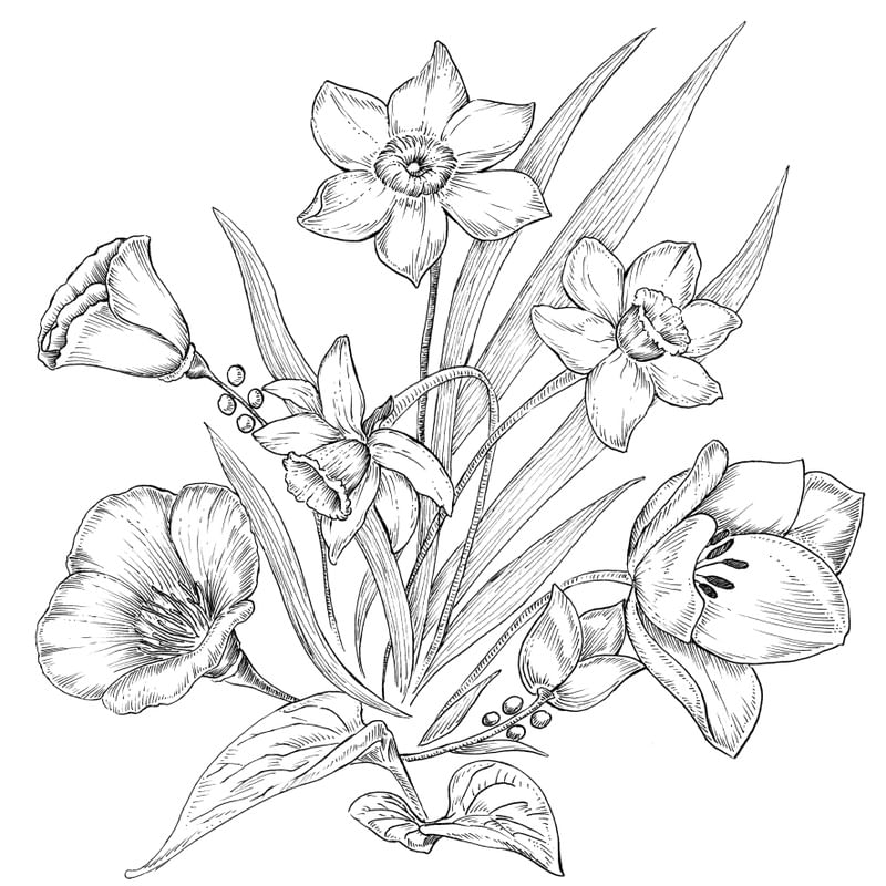 BLOOM B&W