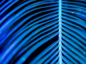 ABSTRATO AZUL II