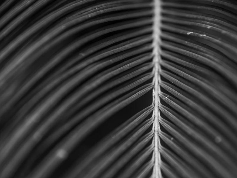 ABSTRATOS CINZA