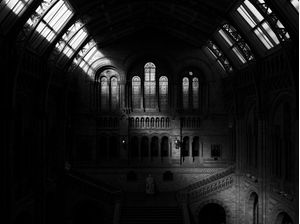 NATURAL HISTORY