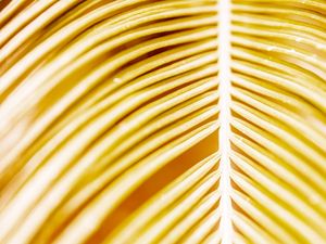 TROPICAL AMARELO ABSTRATO