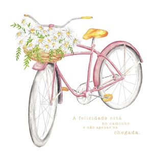 BICICLETA CESTA DE FLORES