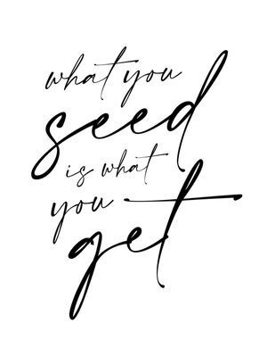 WHAT YOU SEED IS WHAT YOU GET
