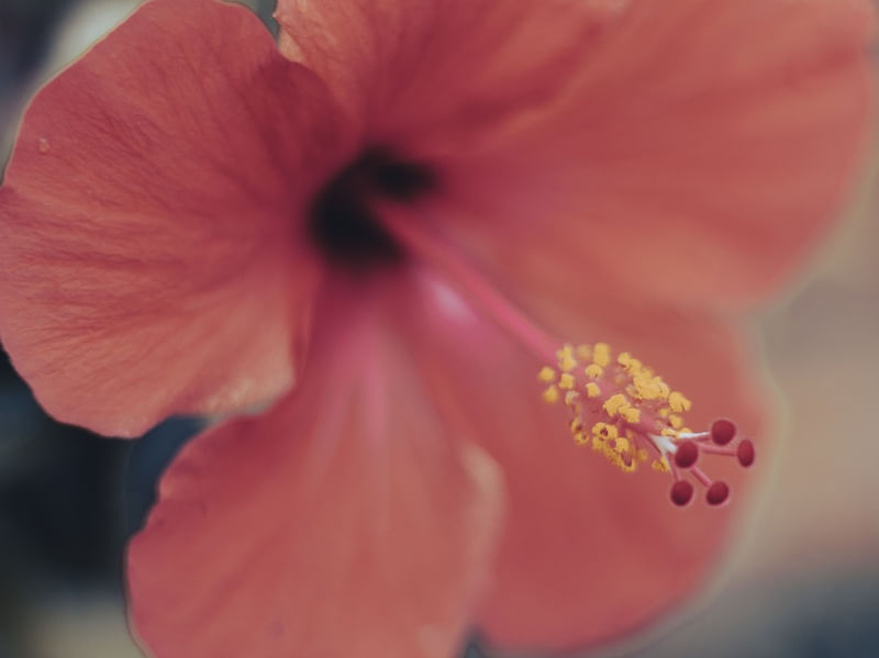NATUVER 1