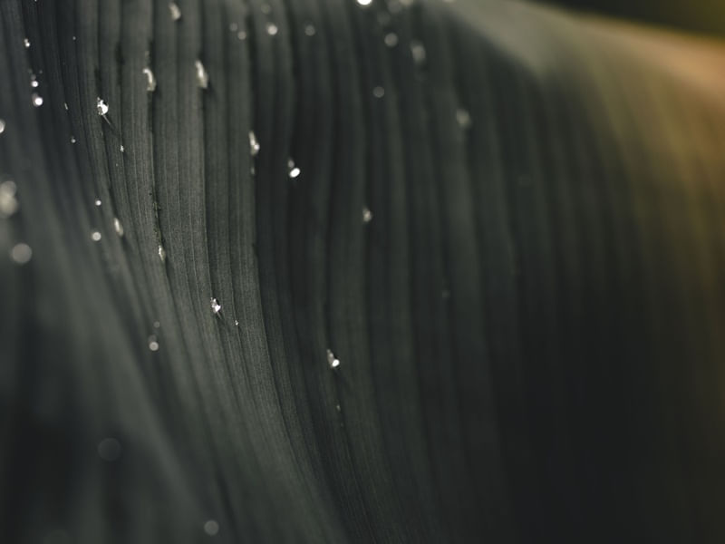 VERMATU 5