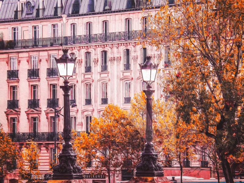 PARIS OIL PAINT