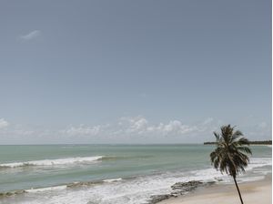 TROPICAL WAVES JAPARATINGA AL