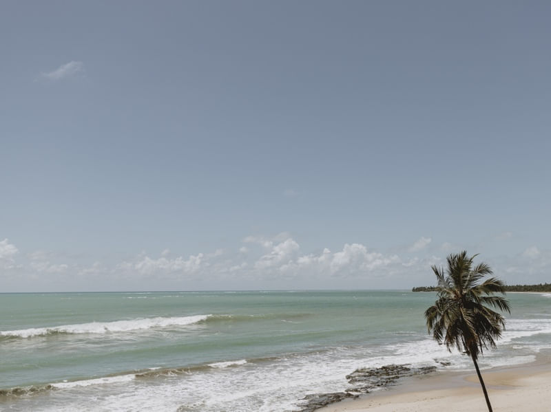 TROPICAL WAVES JAPARATINGA AL