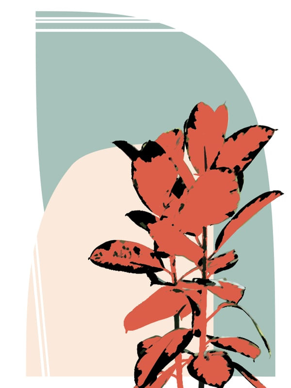 PALETA FLORA I