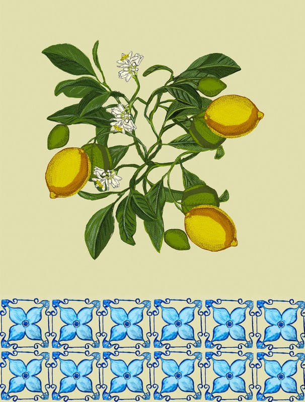 LEMONS