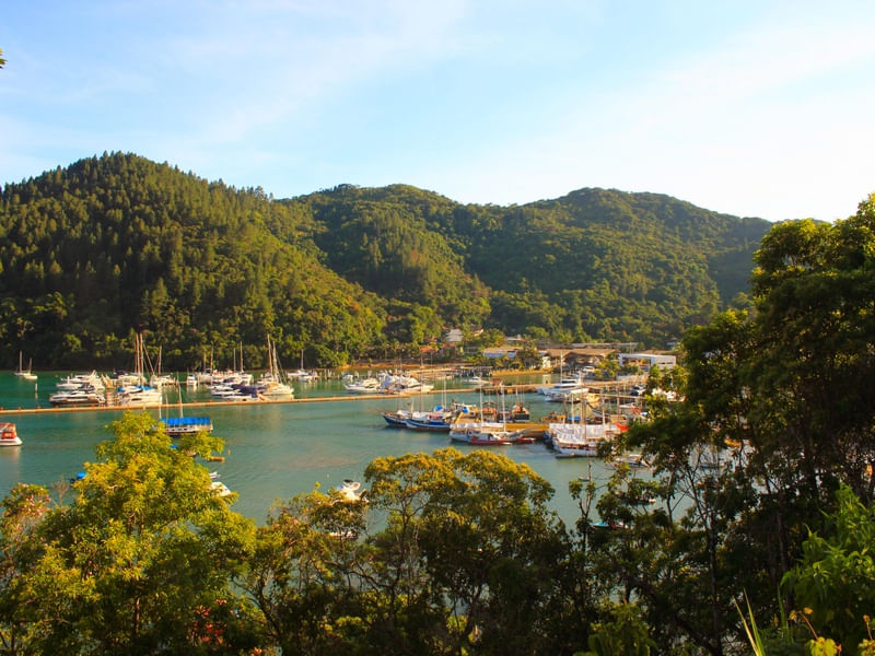 SACO DO RIBEIRA - UBATUBA, SP