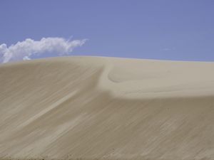 DUNAS PINCELADAS