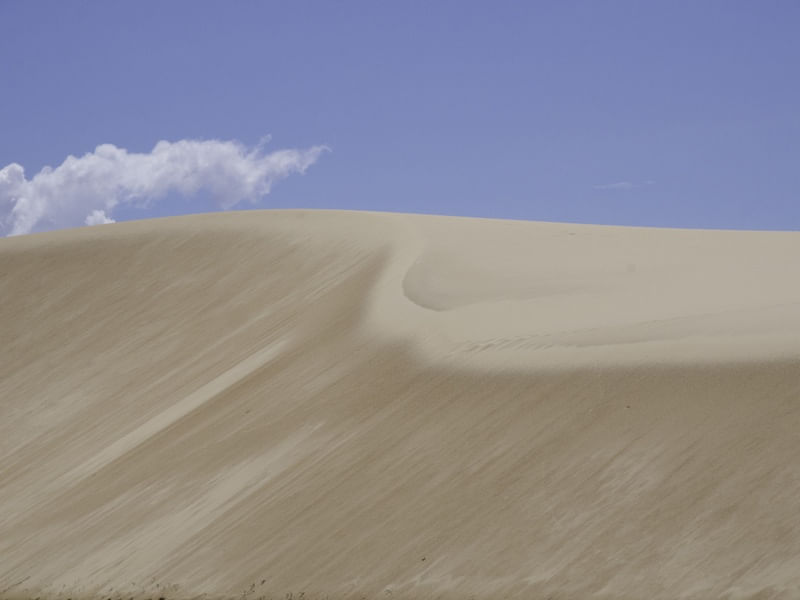 DUNAS PINCELADAS