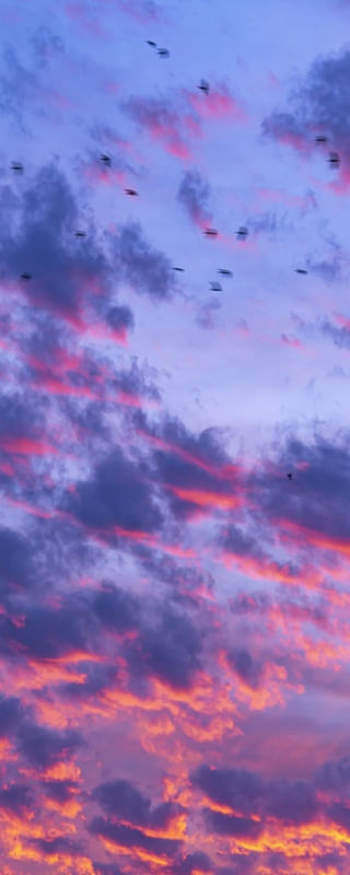 CÉU SURREAL 4