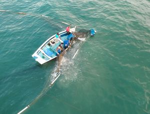 PESCA NA ARMAÇÃO
