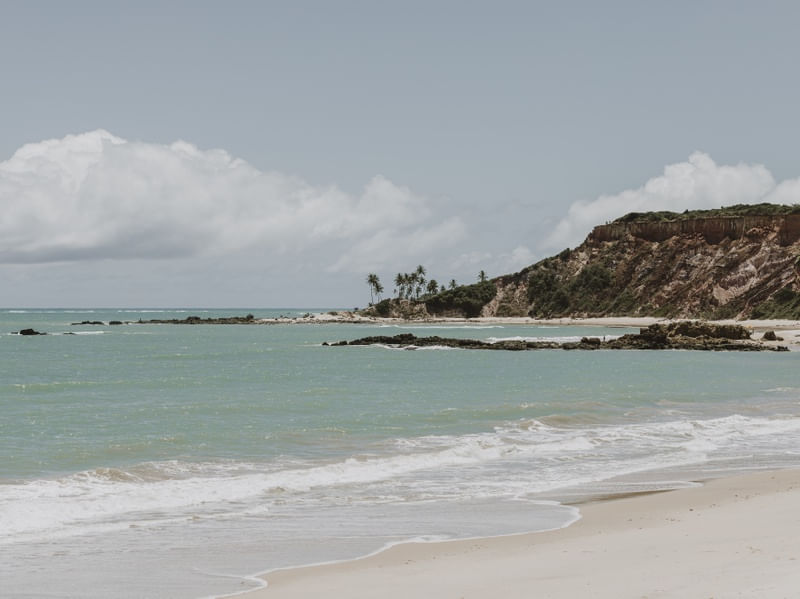 PARAÍBA TROPICAL