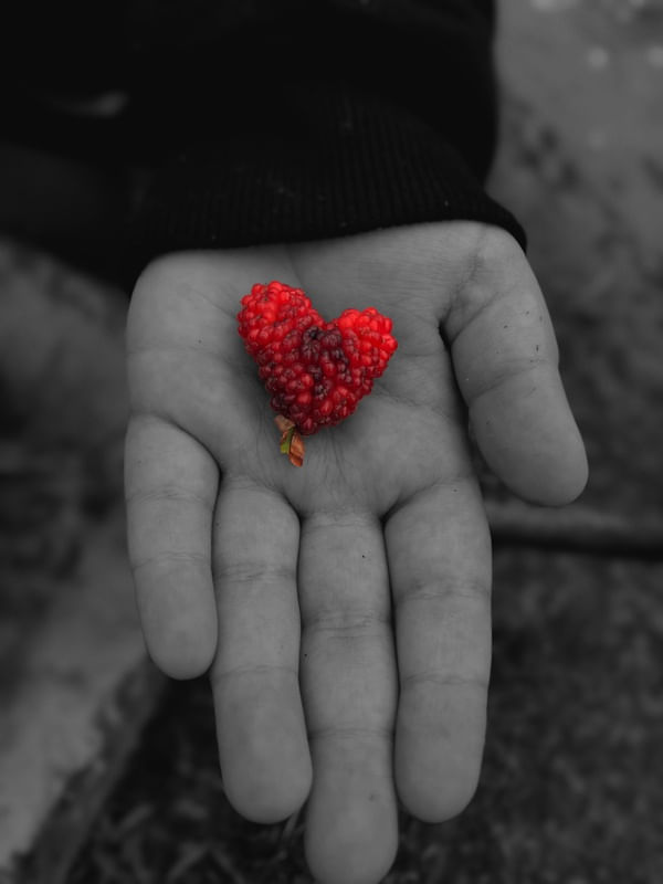 SWEET HEART