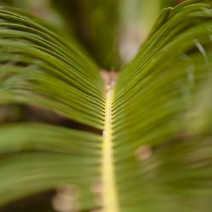 DETALHE DA PLANTA I