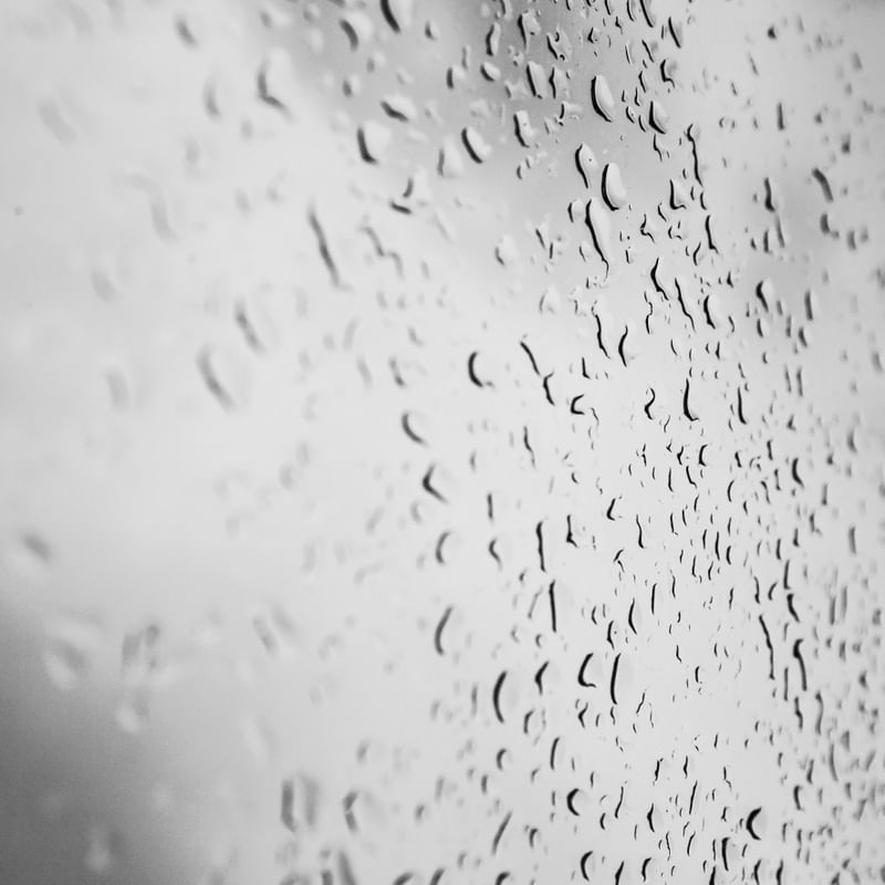 DETALHE CHUVA I
