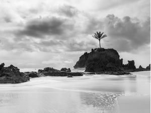 TROPICAL CLOUDS