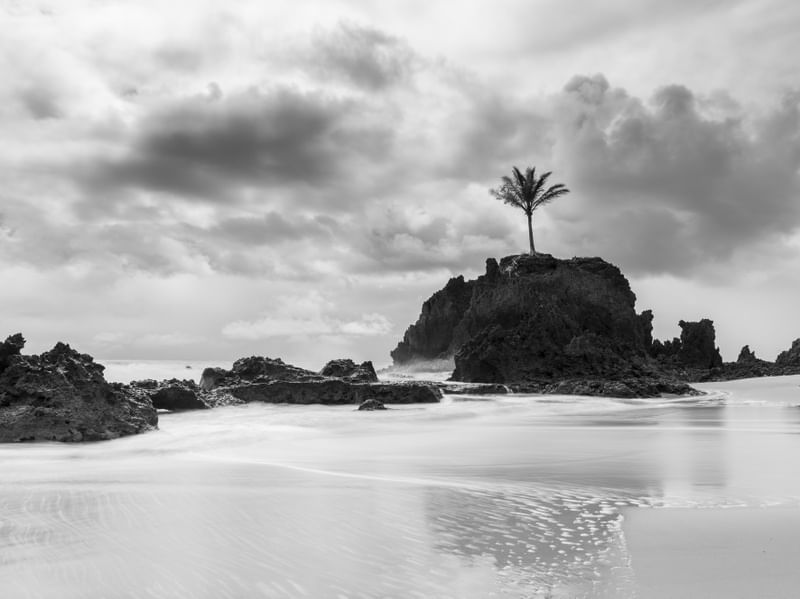 TROPICAL CLOUDS