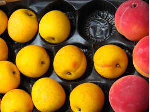 FRUTAS2489