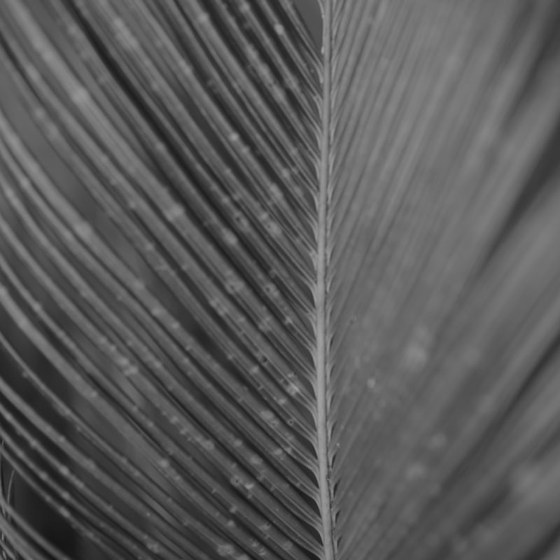 ABSTRATO CINZA I