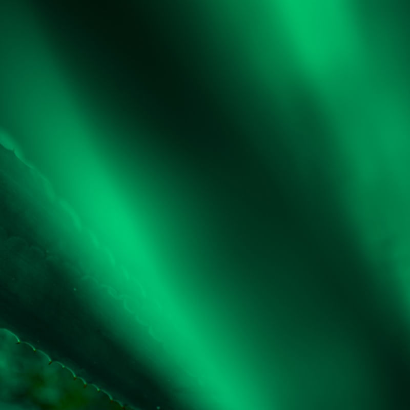 GREEN ABSTRACT II