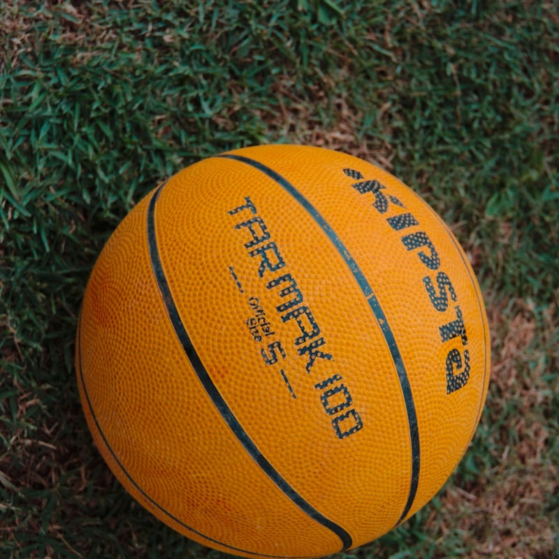 BOLA DE BASQUETE POR EDUARDO KODAK