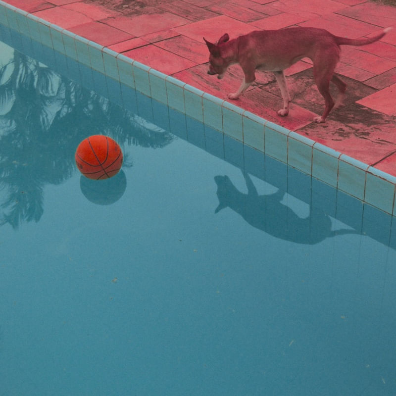 PISCINA Nº5 POR EDUARDO KODAK