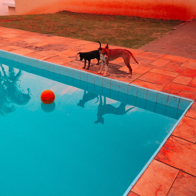 PISCINA Nº3 POR EDUARDO KODAK