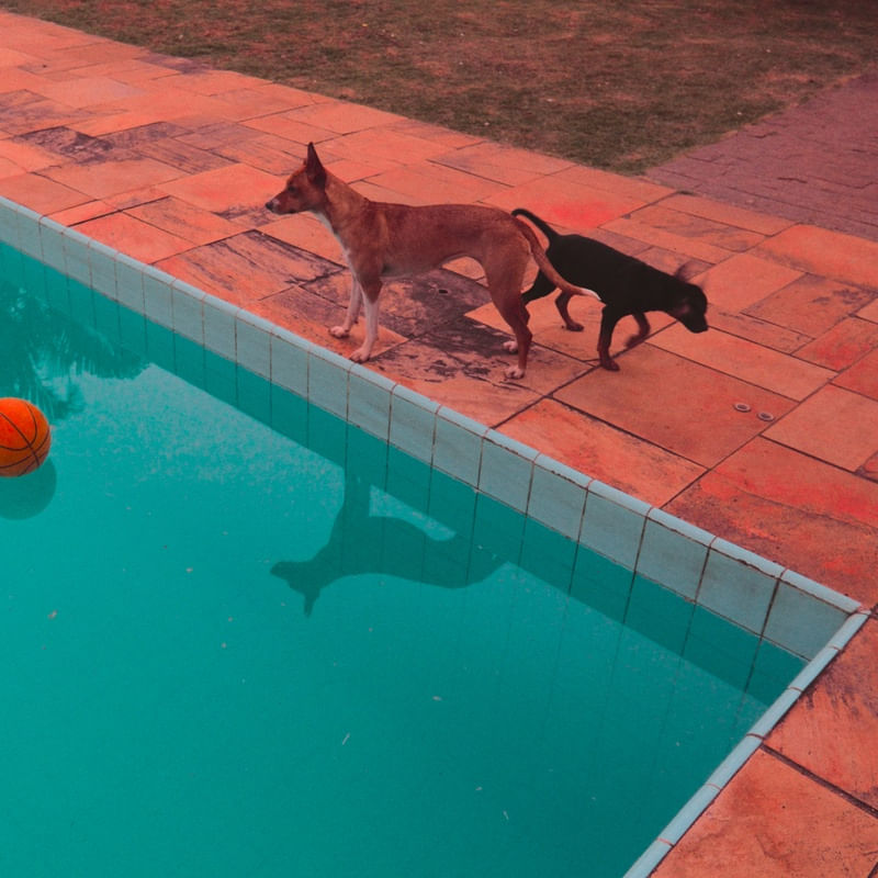 PISCINA Nº4 POR EDUARDO KODAK