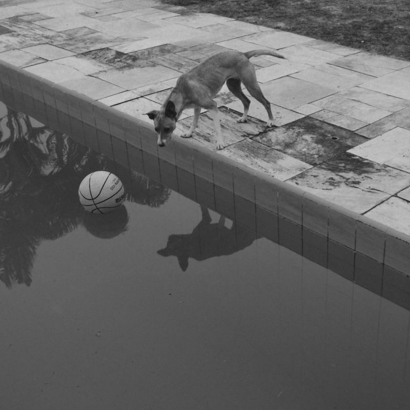 PISCINA Nº6 POR EDUARDO KODAK