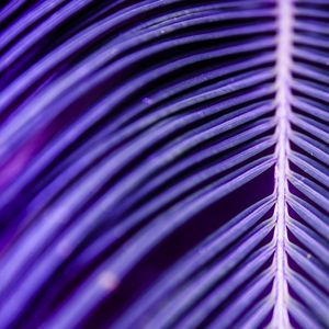 ABSTRACT PURPLE TROPICAL