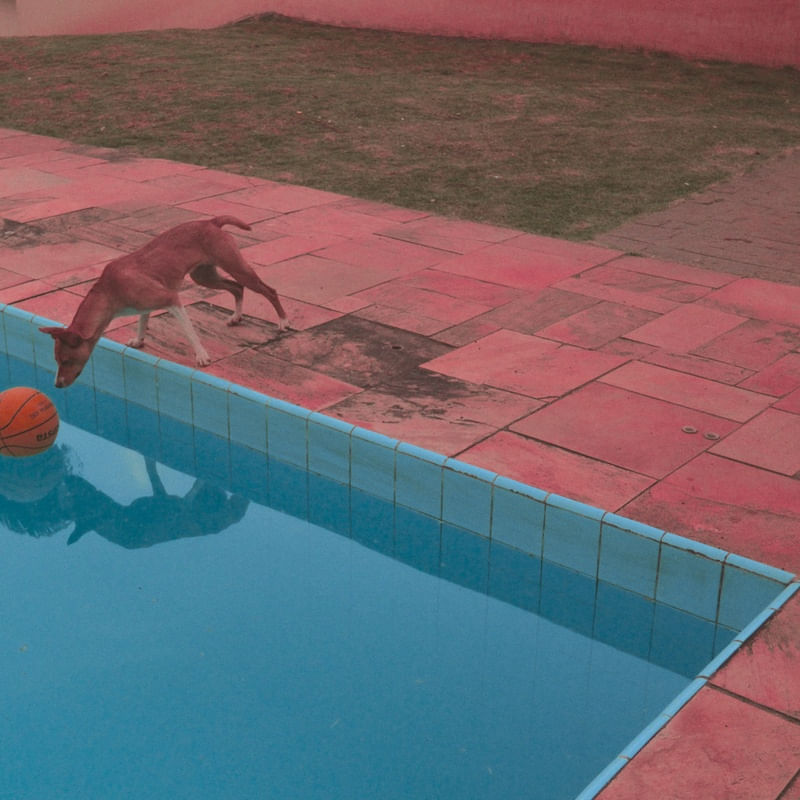 PISCINA Nº7 POR EDUARDO KODAK