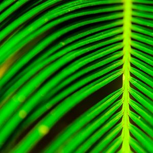 GREEN ABSTRACT TROPICAL