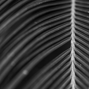BLACK AND WHITE ABSTRACT