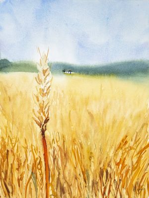 CAMPO, TRIGO E HORIZONTE EM AQUARELA