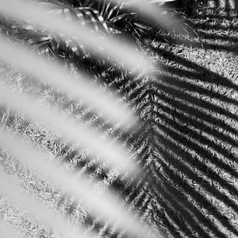SOMBRAS TROPICAIS PB I