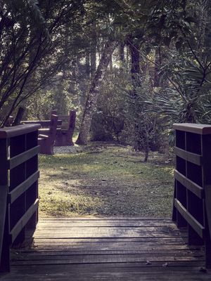 PORTAL PARA A NATUREZA 01