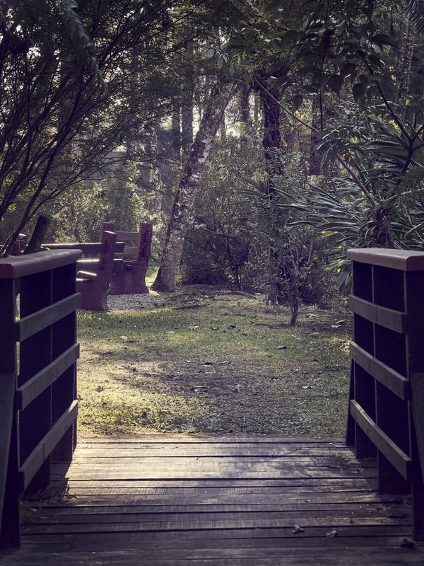 PORTAL PARA A NATUREZA 01
